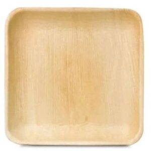 Square Areca Leaf Plate